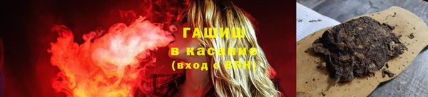 индика Белая Холуница